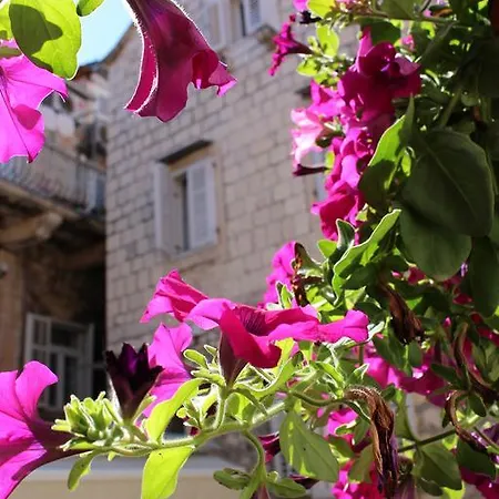 Pinna Hvar شقة هفار