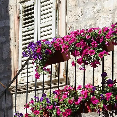 Pinna Hvar شقة